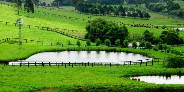Farm dam fitted with a liner in a lush green paddock