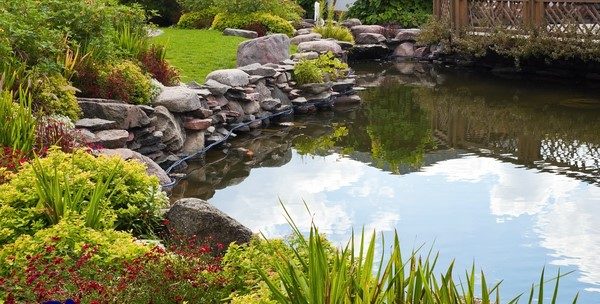 Ornamental fish pond installed with a liner and a rock wall in a well kept garden