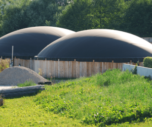 Biogas Bladders-3