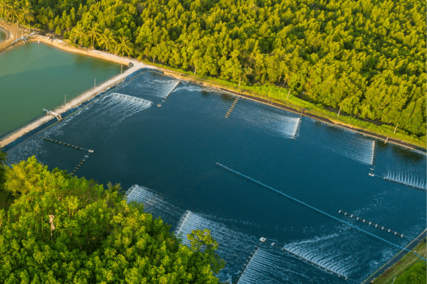 Aquaculture Dam Liners and Fish Tank Liners